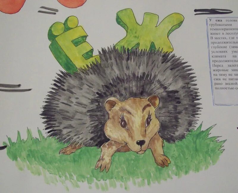 Берегите ежиков