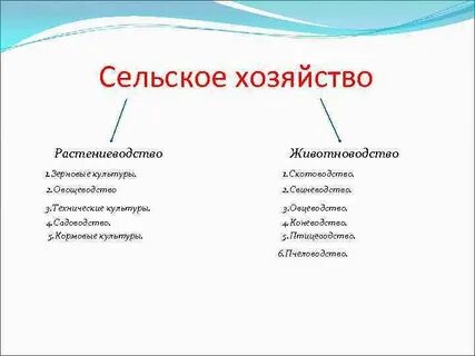 Районы растениеводства и животноводства
