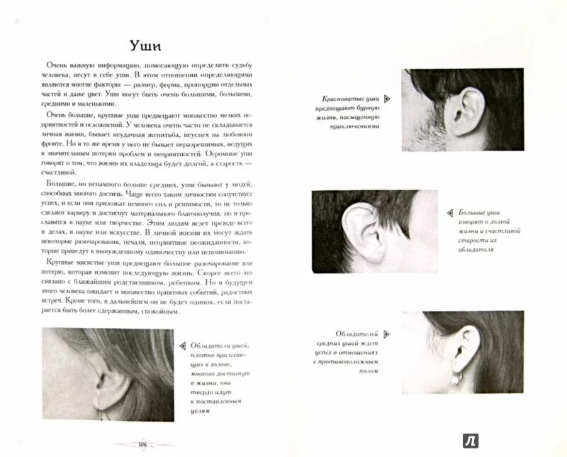 Книга в ухе тайна. Описание человека по чертам лица. Чтение по чертам лица. Физиогномика лица. Чтение характера по лицу.