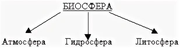 Связь биосферы с гидросферой