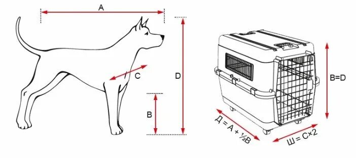 Как измерить переноску для собаки правильно. Оценка окружности грудной клетки. Размеры клеток для птиц. Корректор осанки орлетт tlso 360. Переноска для собак skudo 4 размер.