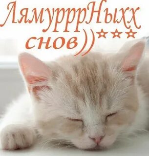 Споки ноки картинки прикольные смешные