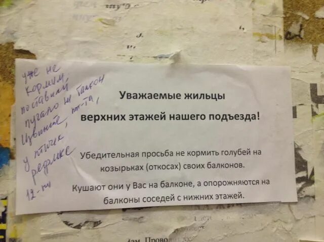 Это не мой сосед ответы бомжу. Уважаемые жильцы просьба. Уважаемые жильцы с верхних этажей. Объявления для жильцов подъезда. Обращение к жильцам дома.