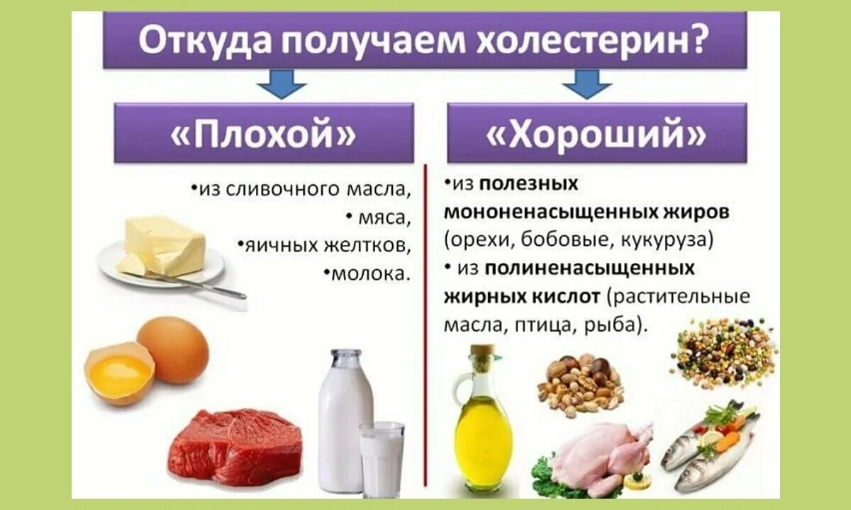 Продукты 1 уровень. Холестерин. Продукты с плохим холестерином. Вредный и полезный холестерин. Продукты понижающие холестерин.