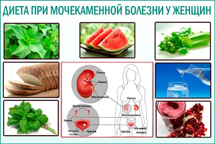 Диета при мочекаменной болезни почек. Диета примочексменной болезни. Диета при мочекаменной иболе. Диета при мочекаменной болезни у женщин. Что пить при болезни почек