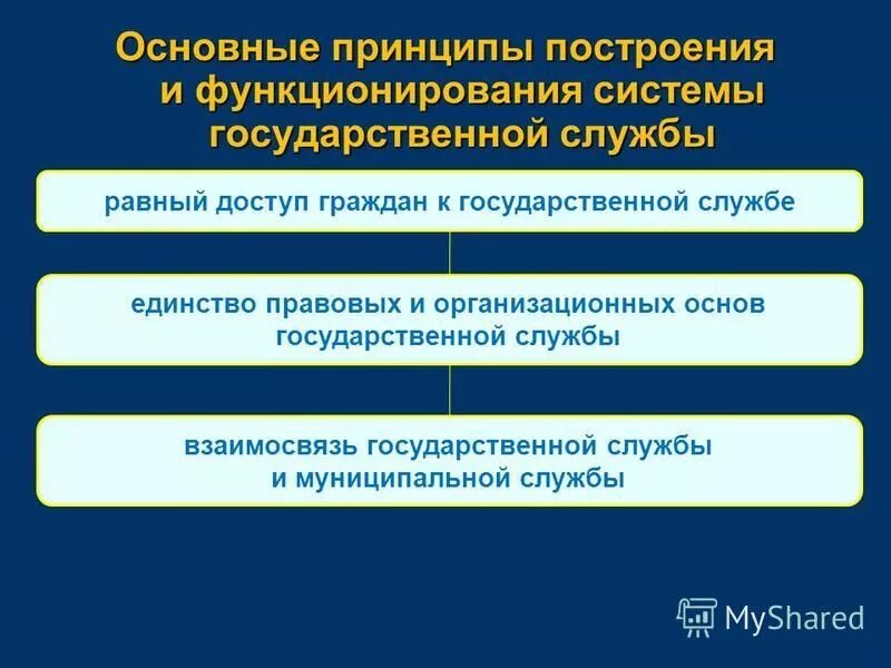 Общие принципы государственной службы