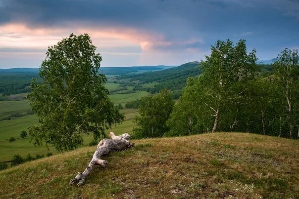 Будет лето на южном урале. Природа Южного Урала. Южный Урал летом. Фотографии Южного Урала. Пейзаж Южный Урал Тургояк.