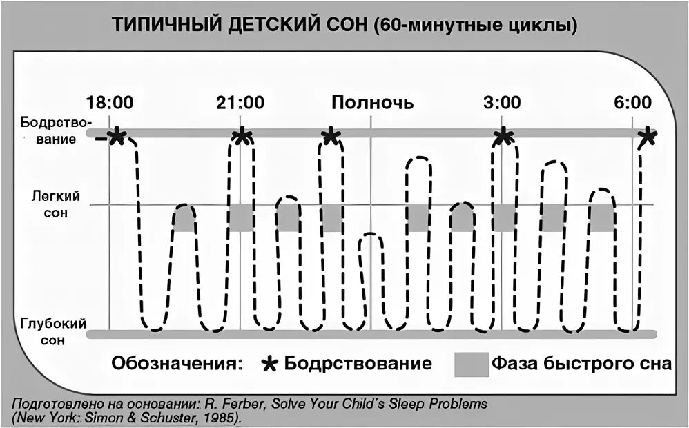Фазы ночного сна человека. Фазы сна ребенка. Фазы и циклы сна. Фазы сна у новорожденного ребенка. Фазы сна младенца 1.