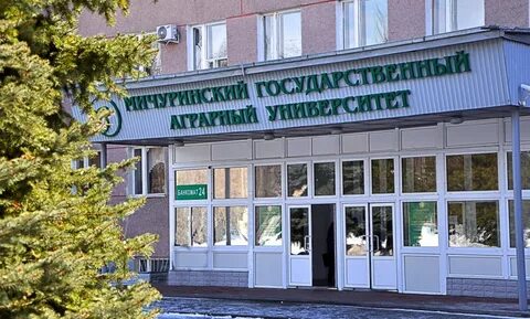 Мичуринский государственный сайт