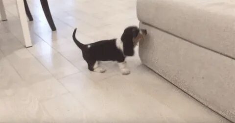 Выложить gif