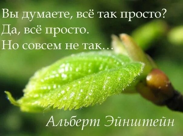 Вы думаете все так просто. Все в жизни так просто но все не просто так. Да все просто но совсем не так. Думаете все так просто.