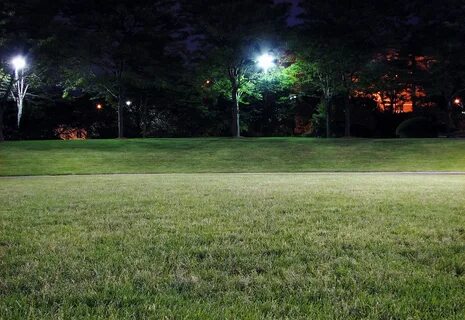 Night grass