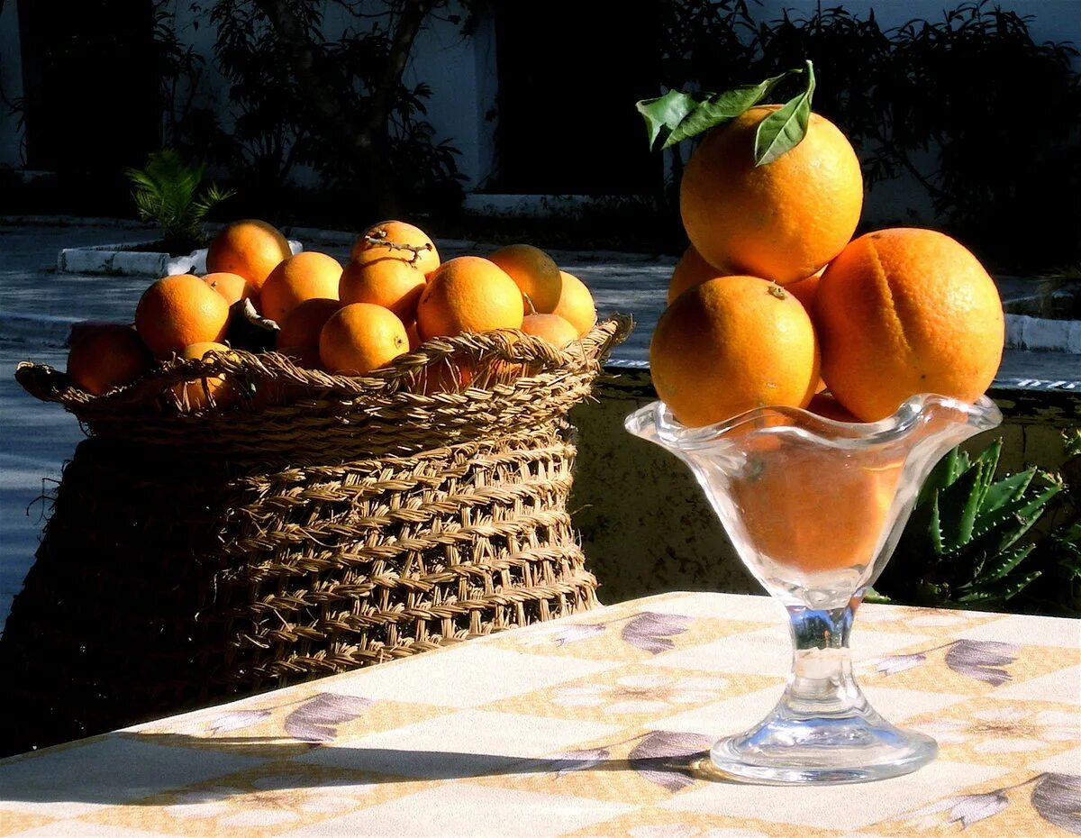 Апельсины на рабочий стол. Спелые апельсины в теплом климате. Апельсин на белом фоне. Картина апельсины. Девять апельсинов.