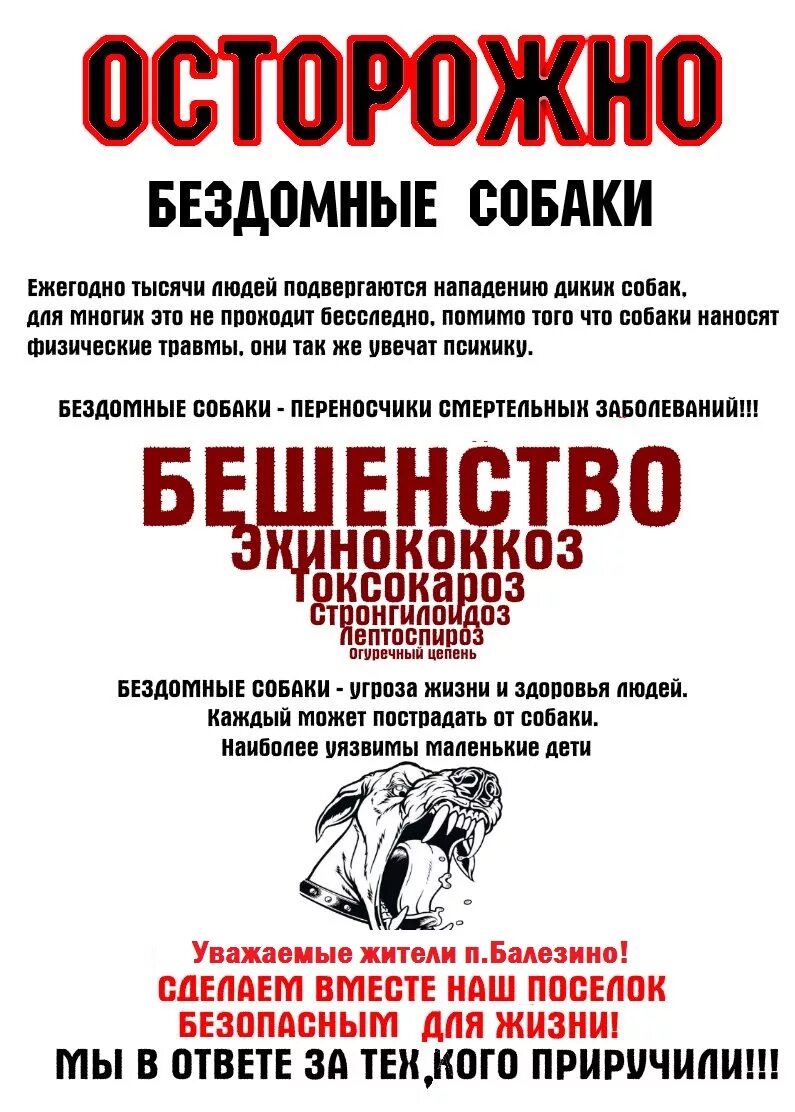 Предупреждение о нападении. Осторожно бродячие собаки. Приказ о запрете кормление бездомных животных. Памятка осторожно бездомные собаки. Памятка осторожно бродячие собаки.