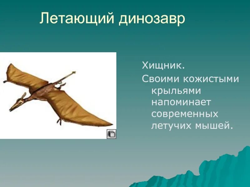 Сообщение о летающих
