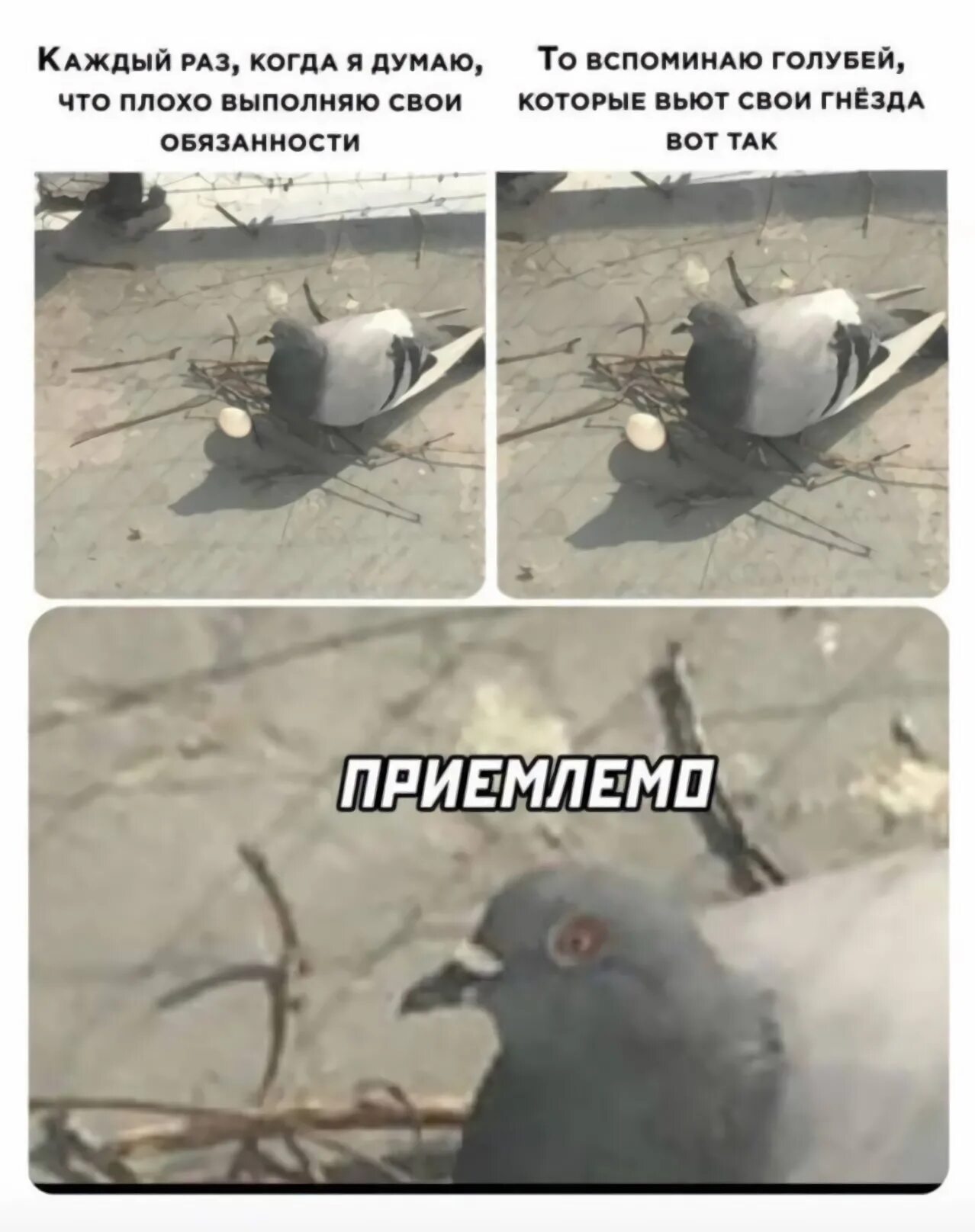 Довольно таки неплохо