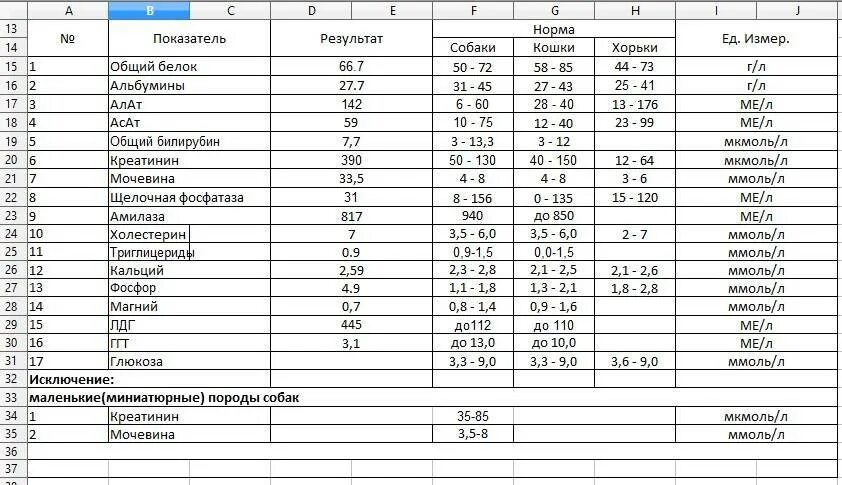 Анализы крови биохимия норма у собак таблица. Норма биохимического анализа крови у собак таблица. Показатели анализа крови у собак расшифровка норма. Биохимия крови собаки показатели. Норма сахара в крови у кошек