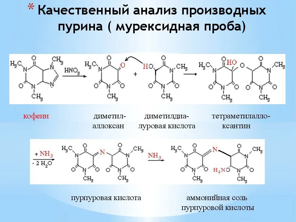 Подлинность гф. Мурексидная проба на теофиллин реакция. Мурексидная проба мочевой кислоты. Реакция образования мурексида — мурексидная проба. Качественная реакция на кофеин мурексидная проба.