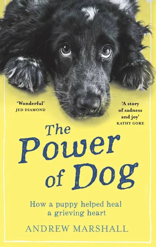 Book my dog. Книги про собак. The Power of the Dog book. Эндрю Маршалл книги. A Dog's Heart.