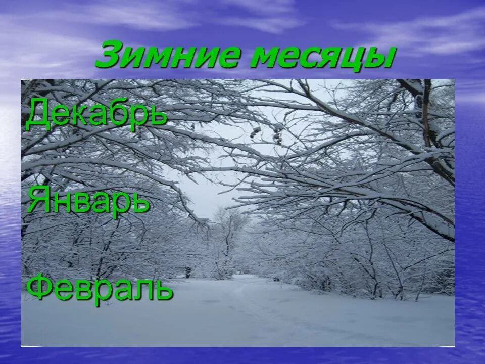 Зимние явления природы для детей. Зимние явления в живой природе. Зимние явления в неживой природе. Презентация зимние месяцы.