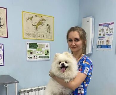 Ветеринар посоветуйте