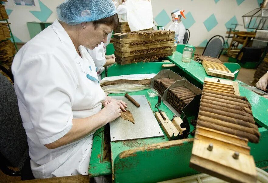 Какая российская табачная фабрика не продалась США и до сих пор производит натур