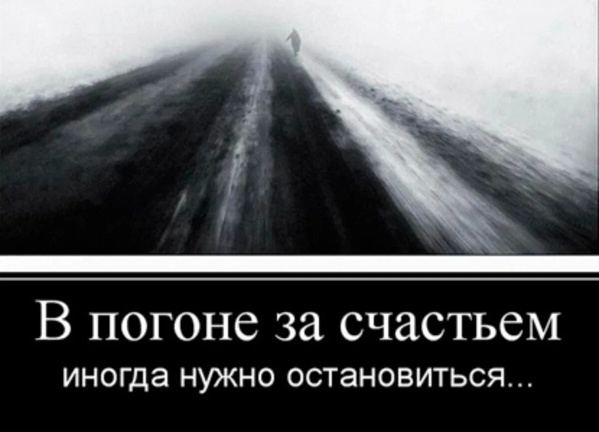 В погоне за счастьем. В погоне за счастьем цитаты. В погоне за счастьем афоризмы. В погоне за идеалом. В погоне за женой