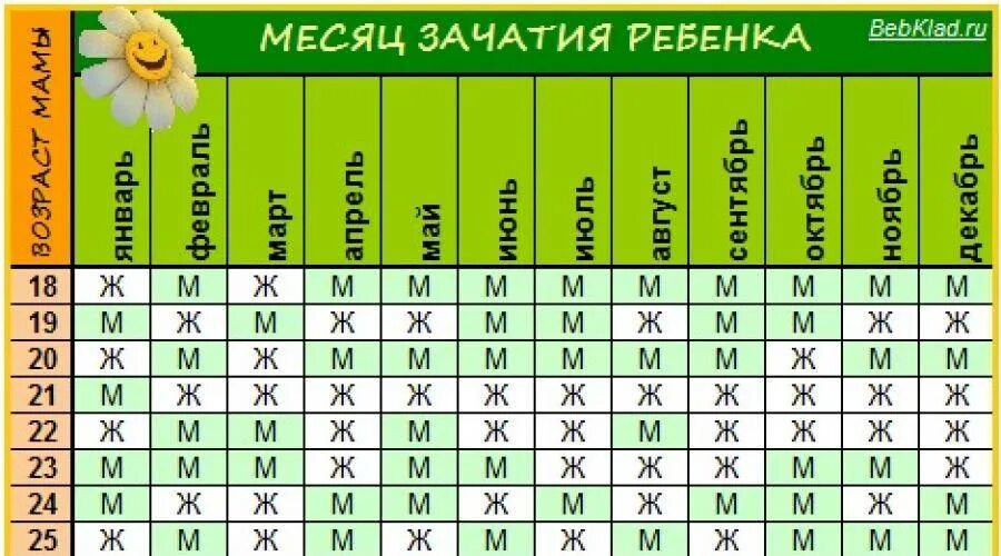 Кто родится мальчик или девочка по месяцу. Зачатие ребенка. Таблица зачатия ребенка. Мальчик или девочка родится. Как узнать мальчик или девочка.