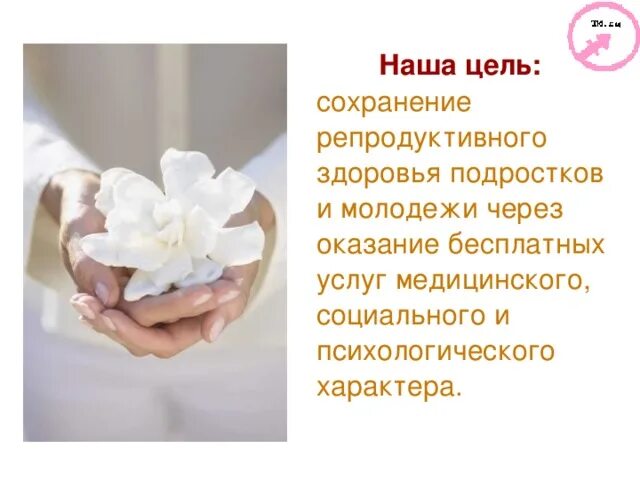 Информация о беременности - ТОГБУЗ "Мичуринская ЦРБ" #мич #црб #Мичуринская #ЦРБ