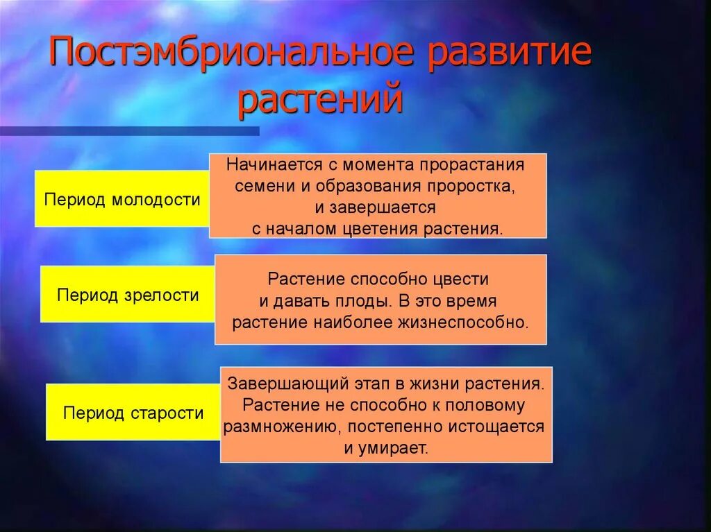 Постэмбриональное развитие начинается. Постэмбриональный период у растений. постэмбриональное развитие. постэмбриональное развитие растений. эмбриональный период развития растений.