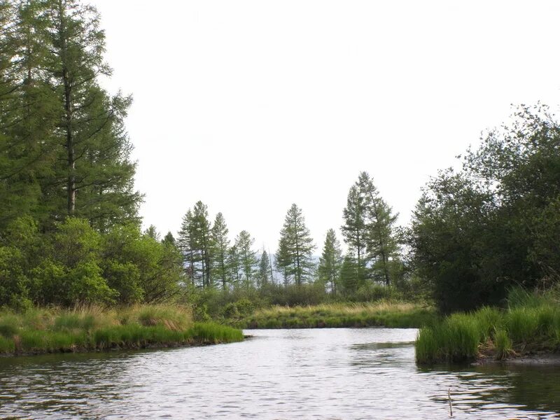 протоки озера. петропавловское озеро хабаровск. залив снежный вуокса. протоки озера. протоки озера.