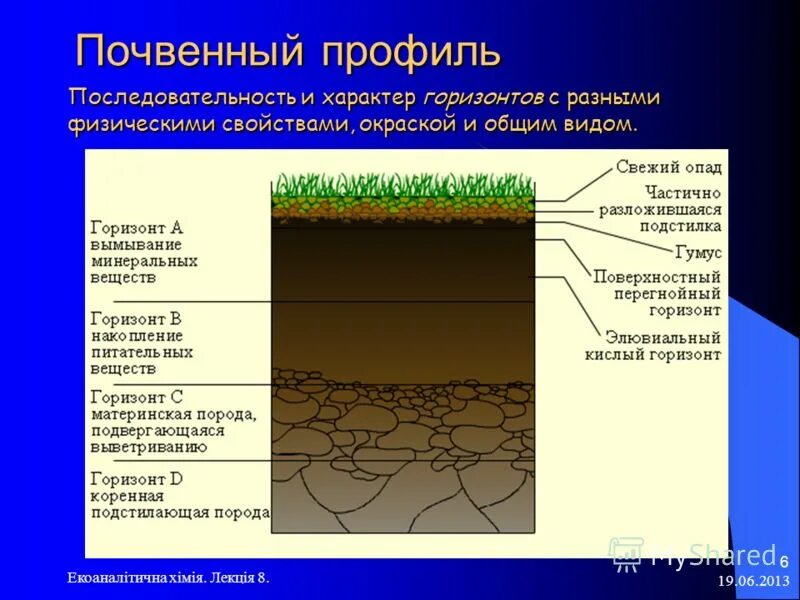 К материнской породе примыкает почвенный