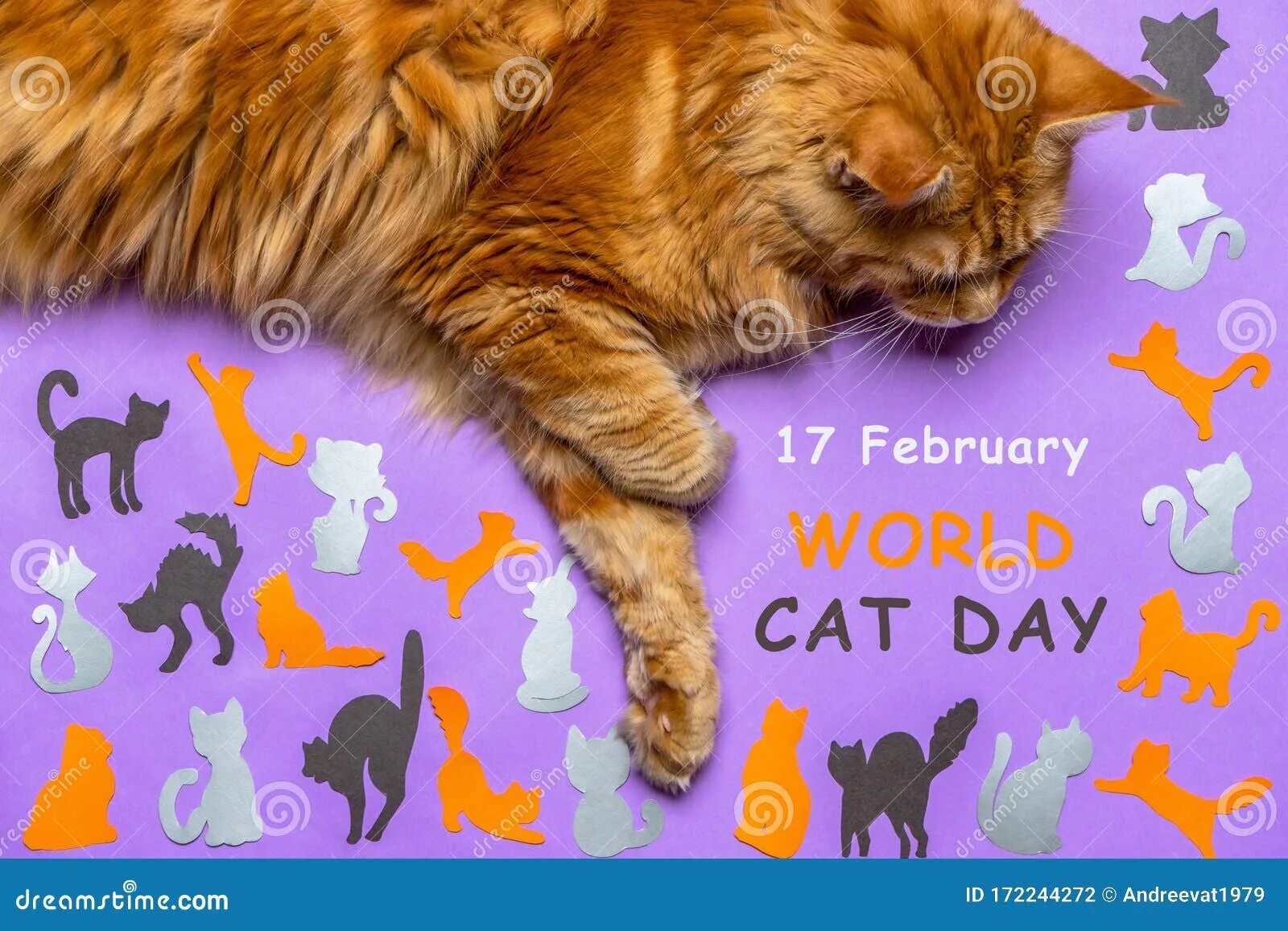My cat all day. World cat day. международный день кота. европейский день кота. день кота в европе.