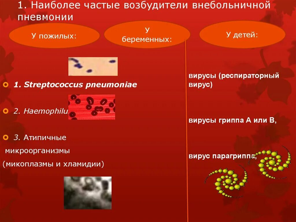 Какие возбудители вызывают пневмонию. Наиболее частый возбудитель атипичной пневмонии. Наиболее частый возбудитель внебольничной пневмонии. Возбудители внебольичнрйпневмонии. Самый частый возбудитель внебольничной пневмонии.