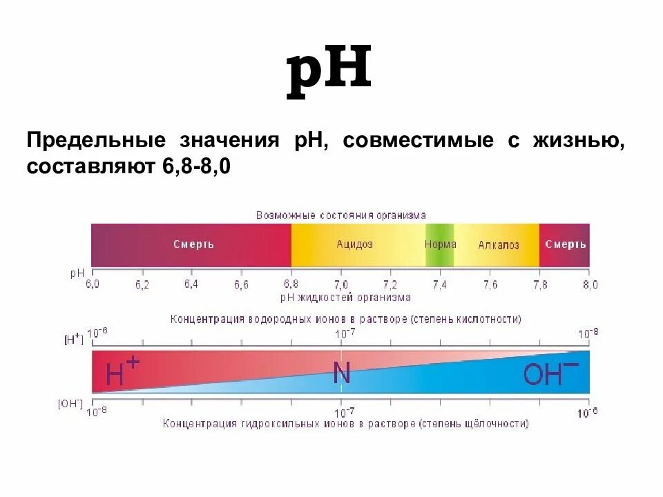 Функции кислотности. PH В крови при алкалозе ацидозе. Таблица PH С алкалоз. Норма PH крови алкалоз ацидоз. PH крови при ацидозе.