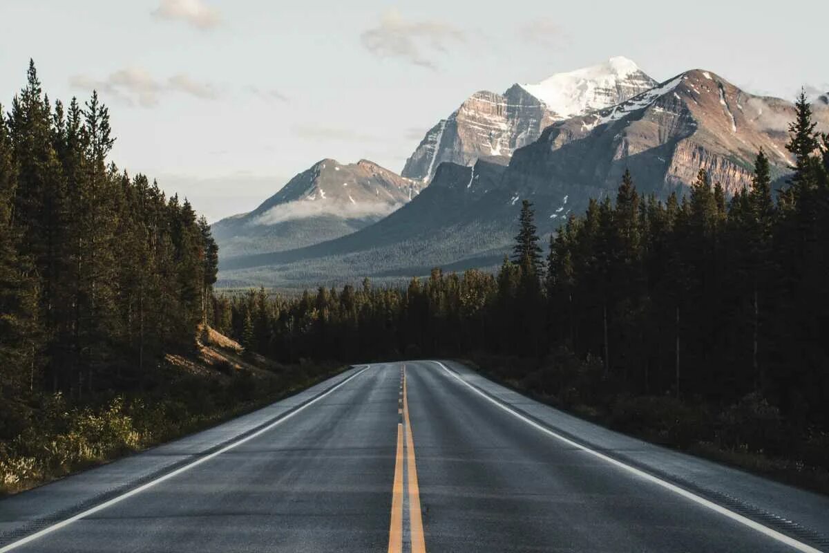 Wide road. Дорога в гору. Дорога в лесу. Природа горы дорога. Фон дорога.