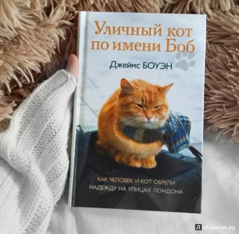 Книга про боба. Боуэн уличный кот по имени Боб. Уличный кот по имени Боб книга.