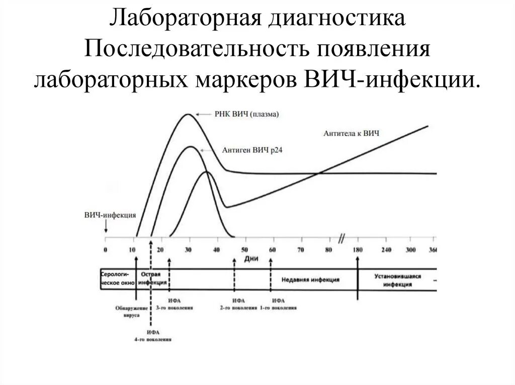 ИФА тест на ВИЧ 4 поколения. Сроки появления антител к ВИЧ. ВИЧ график антител. ВИЧ ИФА 4 поколения сроки.