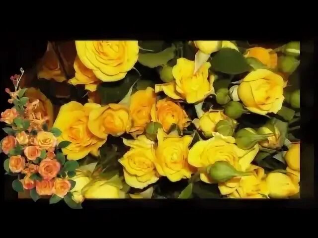 Фристайл желтые розы