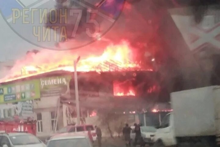 Пожар в лесном городке. Чит поджоги. Чит поджоги. Чита лес песчанка. Пожар забайкальский край сегодня читинский район.