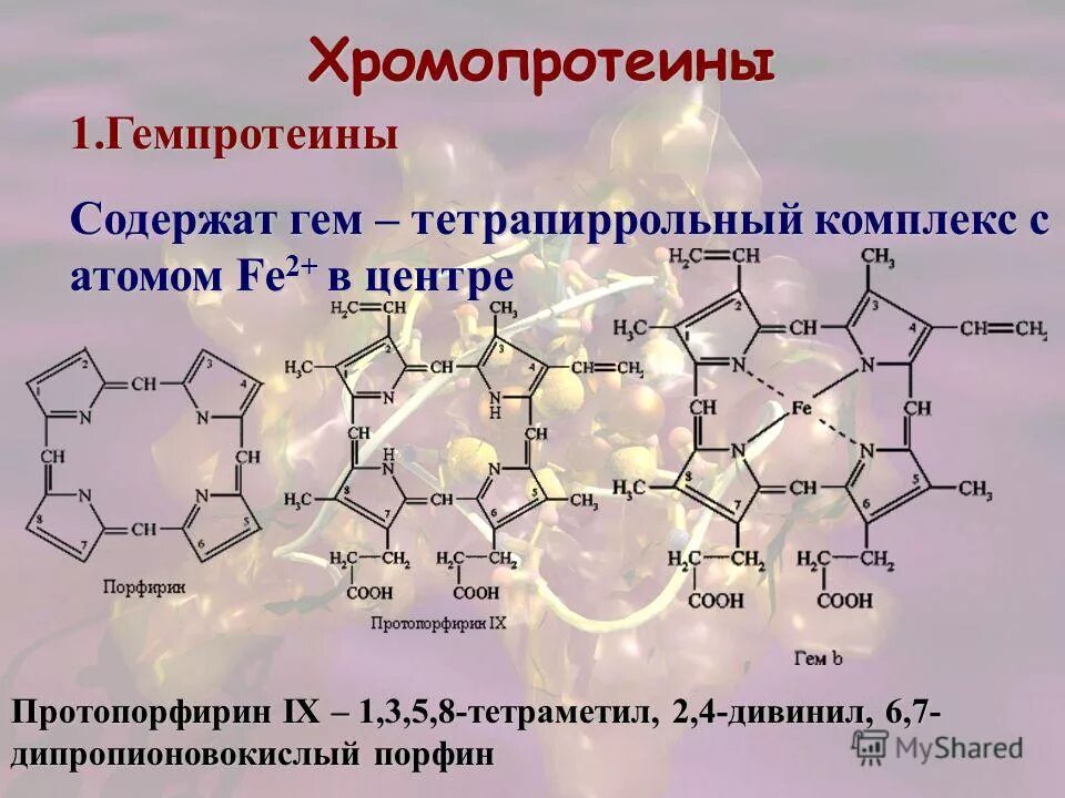 Протопорфирин