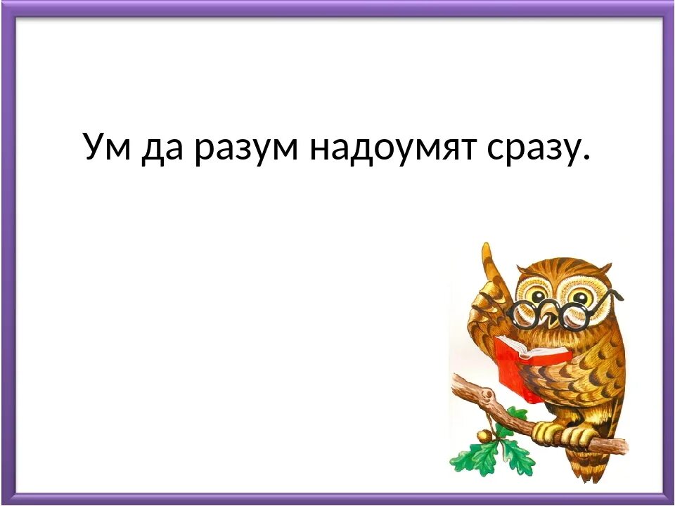 Пословицы уму разуму. Ум да разум надоумят сразу. Пословица ум и разум надоумят сразу. Пословица из слов ум надоумят да сразу разум. Ум да разум надоумят сразу смысл пословицы.