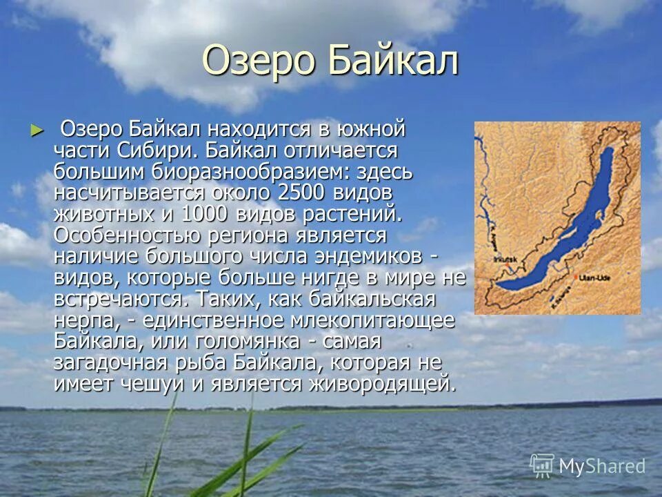 Чем озеро отличается от озера. Байкал форма озера. Описание озера Байкал. Происхождение озера Байкал. Котловина Байкала.