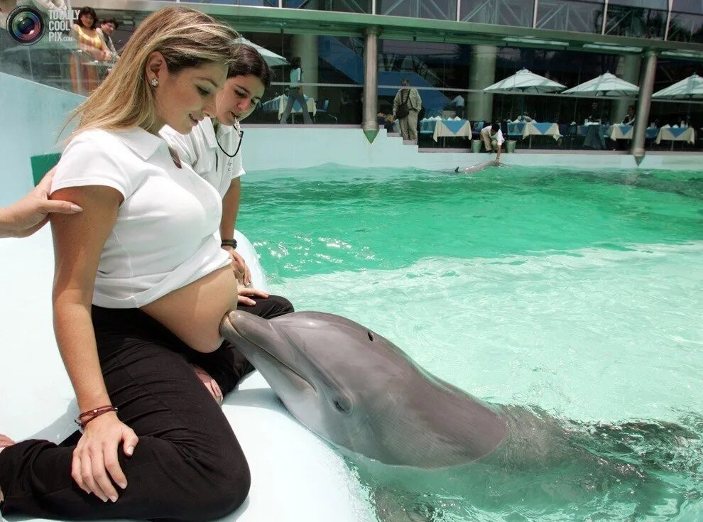 Есть ли дельфин людей. Дельфины и женщины. Дельфины и девушка. Женщина и Дельфин. Человек Дельфин.