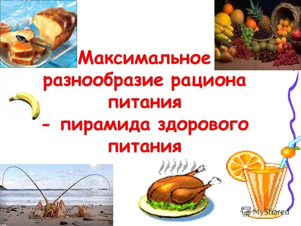 Максимальное разнообразие. Энтропия по эшби. Среда эшби состав. Трудности на пути формирования правового государства. Максимальное разнообразие.