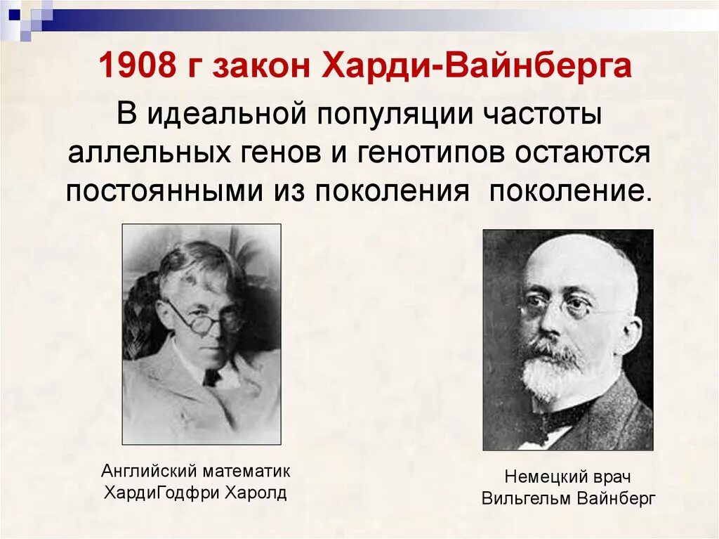 Харди Вайнберга. Вайнберг биолог. Харди Вайнберга портрет. Г Харди и в Вайнберг. Харди математик