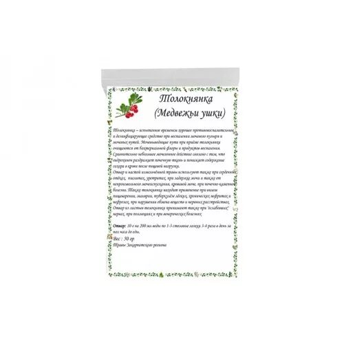 Мочегонные травы Медвежьи ушки. Медвежье ушко трава в аптеке. Отвар толокнянки Медвежьи ушки. Отвар Медвежьих ушек. Медвежьи ушки инструкция по применению цена отзывы