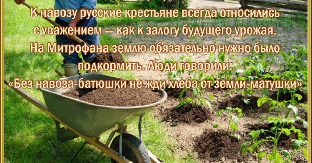 17 июня народный календарь. День борьбы с засухой. 16 июня праздник. Именинники 17 июня. Семнадцатое июня.
