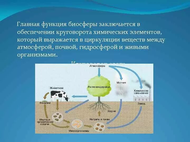 Примеры как биосфера взаимодействует с атмосферой. Круговорот углерода в биосфере. Биосфера. Круговорот веществ в биосфере. 9 Класс. Структура биосферы вещество круговороты. 4 Основных вещества биосферы.