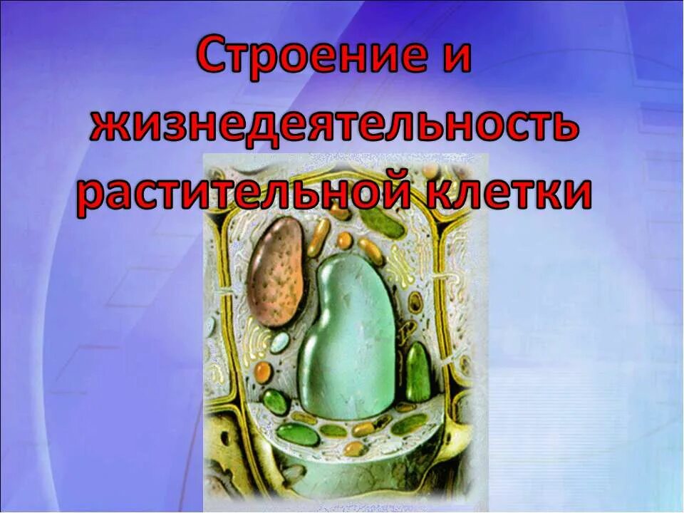 Строение растительной клетки. Строение растительной клетки 9 класс биология. Строение растительной клетки. Строение растительной клетки 10 класс биология. Строение растительной клетки презентация.